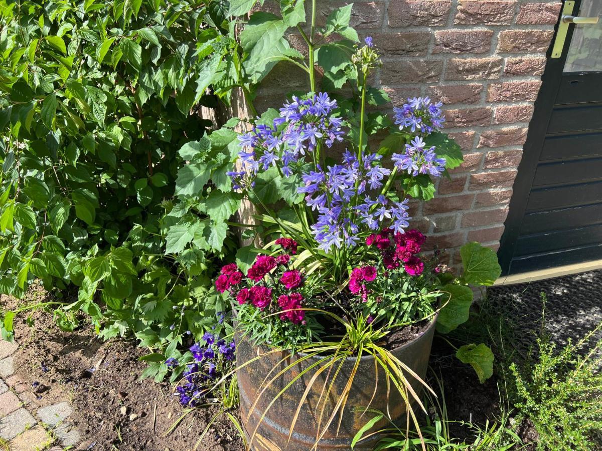 Supergezellig Vakantiehuis Met Hele Grote Tuin Bij Nijmegen Ewijk Exterior photo